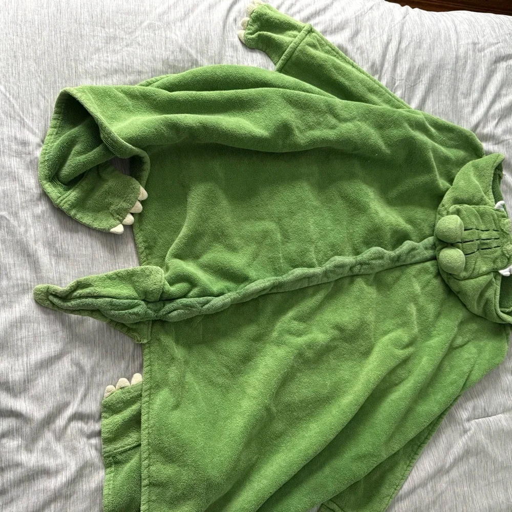 Pottery Barn Kids Green Hooded Towel - Picture 4 of 4